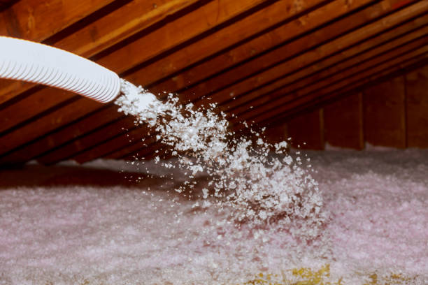 Best DIY Insulation Kits and Guidance in Indnola, IA