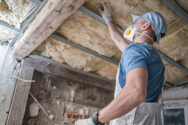 Best Specialized Insulation Services in Indnola, IA